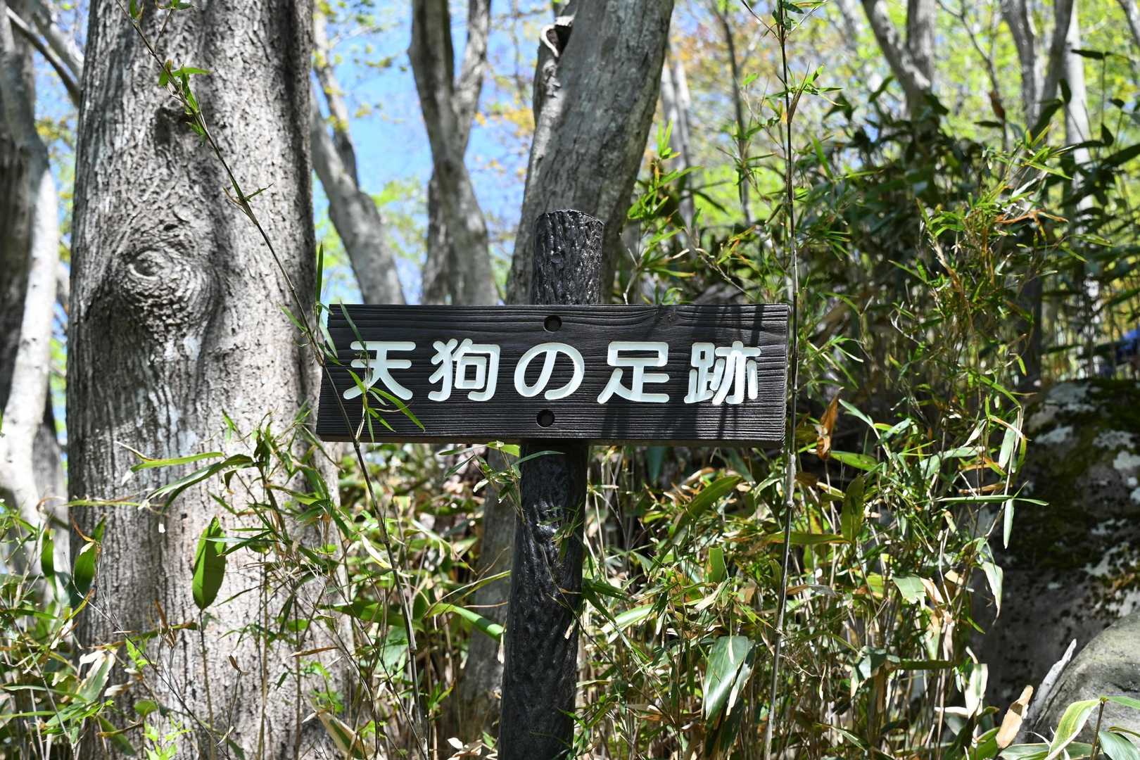 鎌倉岳 往復コースの写真