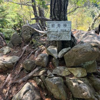 少し先に山名板がありました🤗