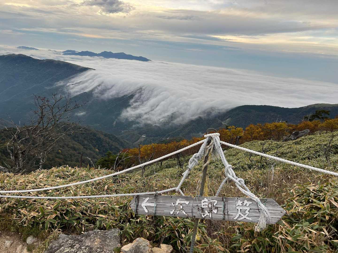 見ノ越登山口-剣山-ジロウギュウ峠-次郎笈-丸石 縦走コースの写真