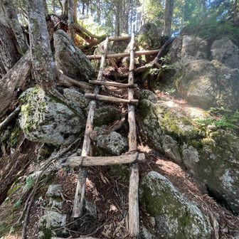 この登山道、ちょいちょい梯子があるんだけど、これはあかんやつ😆ない方が楽かも