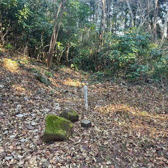 姉取山へ向かう途中の…△
姉取山三角点となっているが
まだ山頂ではない…ナゾ