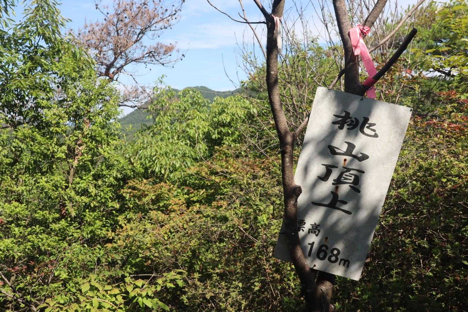 両見山-桃山 周回コースの写真