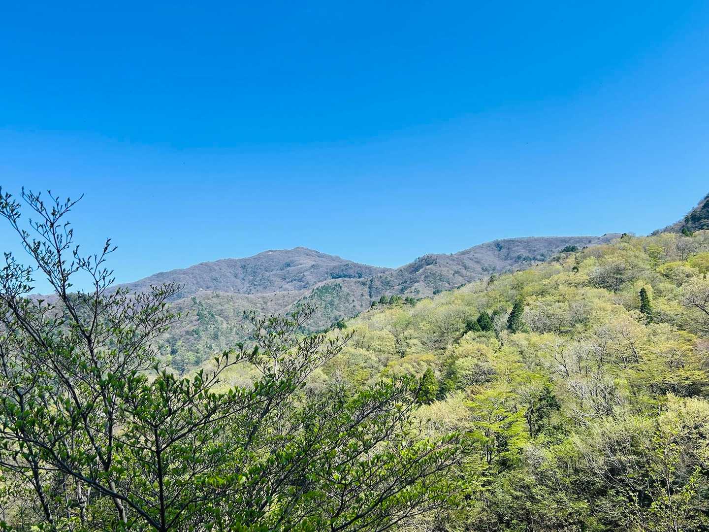 祖母山がこんな近くに