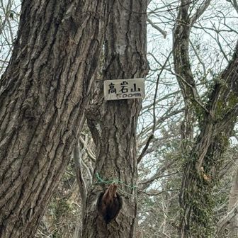 高岩山500m