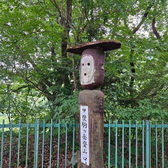 　　　た　だ　い　ま　

明るい内に、帰ってこれて　良かった~~  🤗

体力の、枯渇
疲労遭難　😱
心配　でしたが、無事　下山、出来ました　😂

🚙安全運転で、帰ります　😊

次の山が　. .. .

　　　.. .   楽しみ　です　🤗
