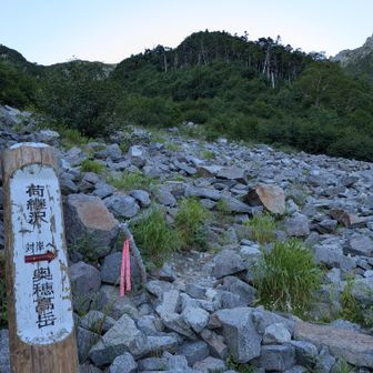 荷継沢 合流点