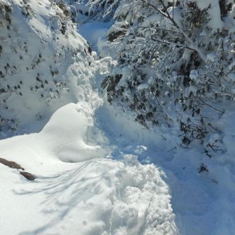 そして急勾配の下り坂。
無雪期は大変そう💦