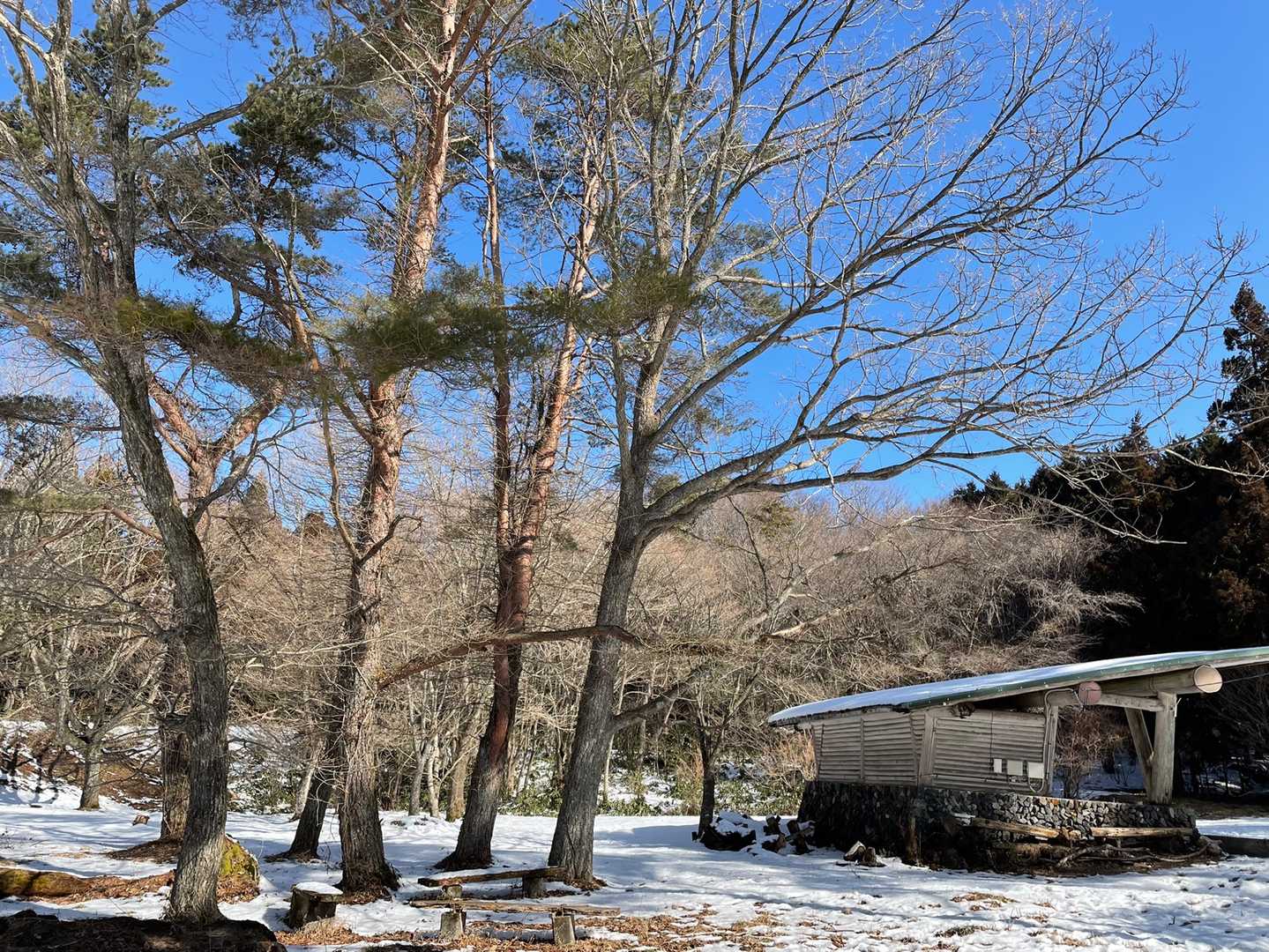 キャンプ場⛺️