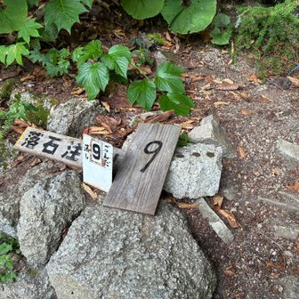 ゴンタさんがお財布を落としたポイントを通過。
5番あたりから以降はだいぶ人とすれ違うようになりました。

いろんな人が山に入ろうとしていました。皆、自分で決めたそれぞれの旅を始めようとしている。私はもうすぐ終わります。リレーみたいだ。