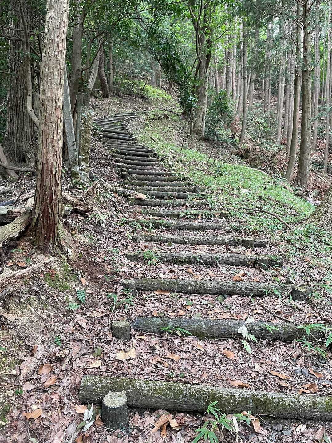 整備されていて登りやすいです。
