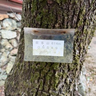 本殿横にありました👍