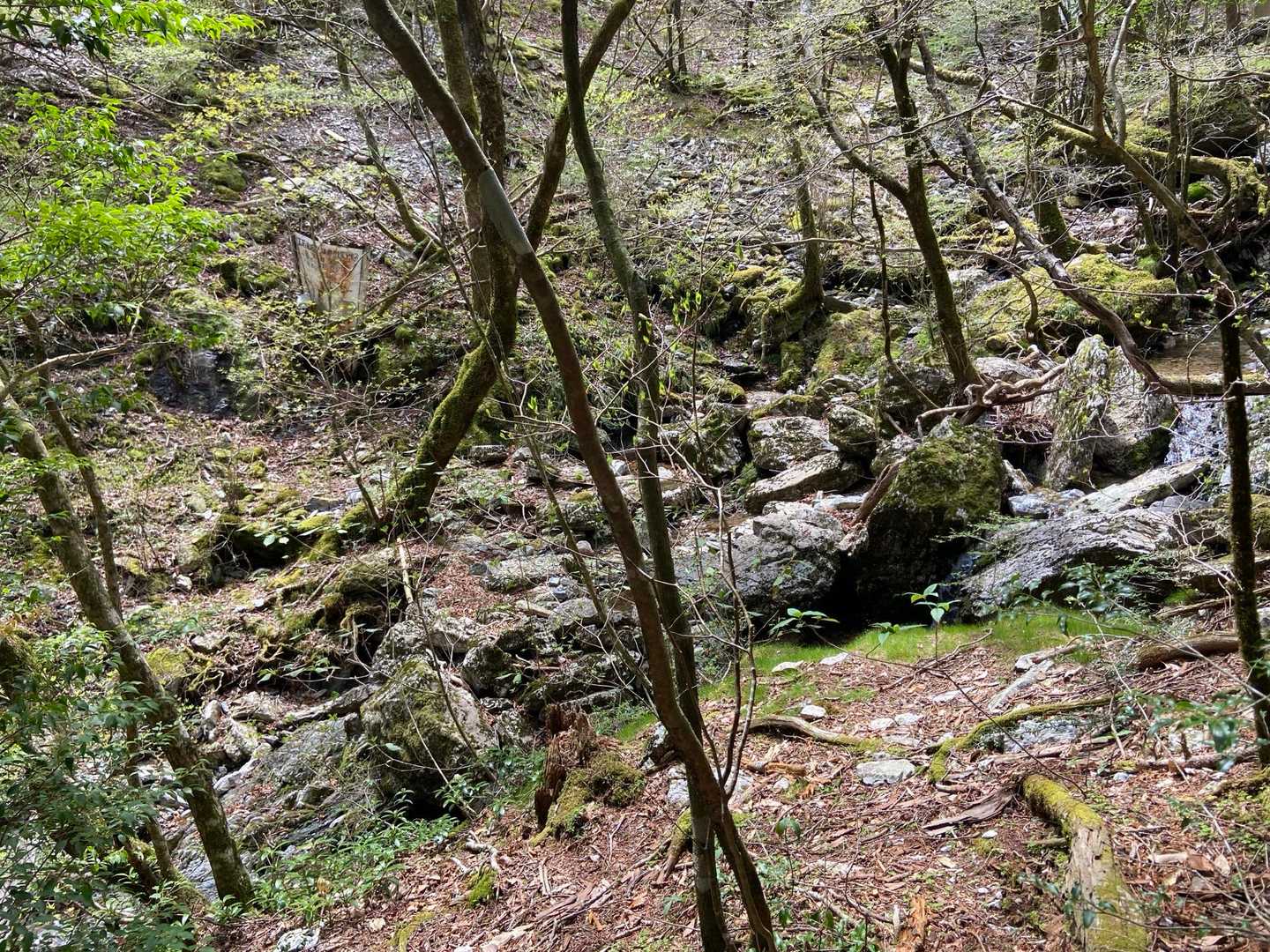 サイの河原まで降りてきました
イシズチサンショウウオが生息しているようですが、気温が低いから？
見ることはできませんでした