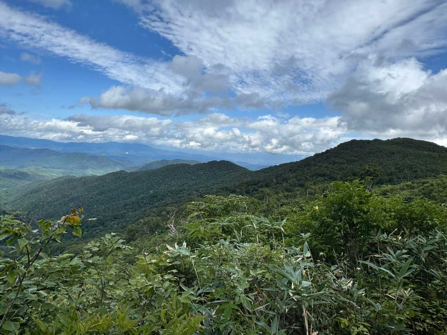 これから歩く
鳥原山の稜線
長そう💦