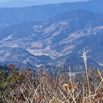 見晴らしは最高！霧がない時は阿蘇も見えます