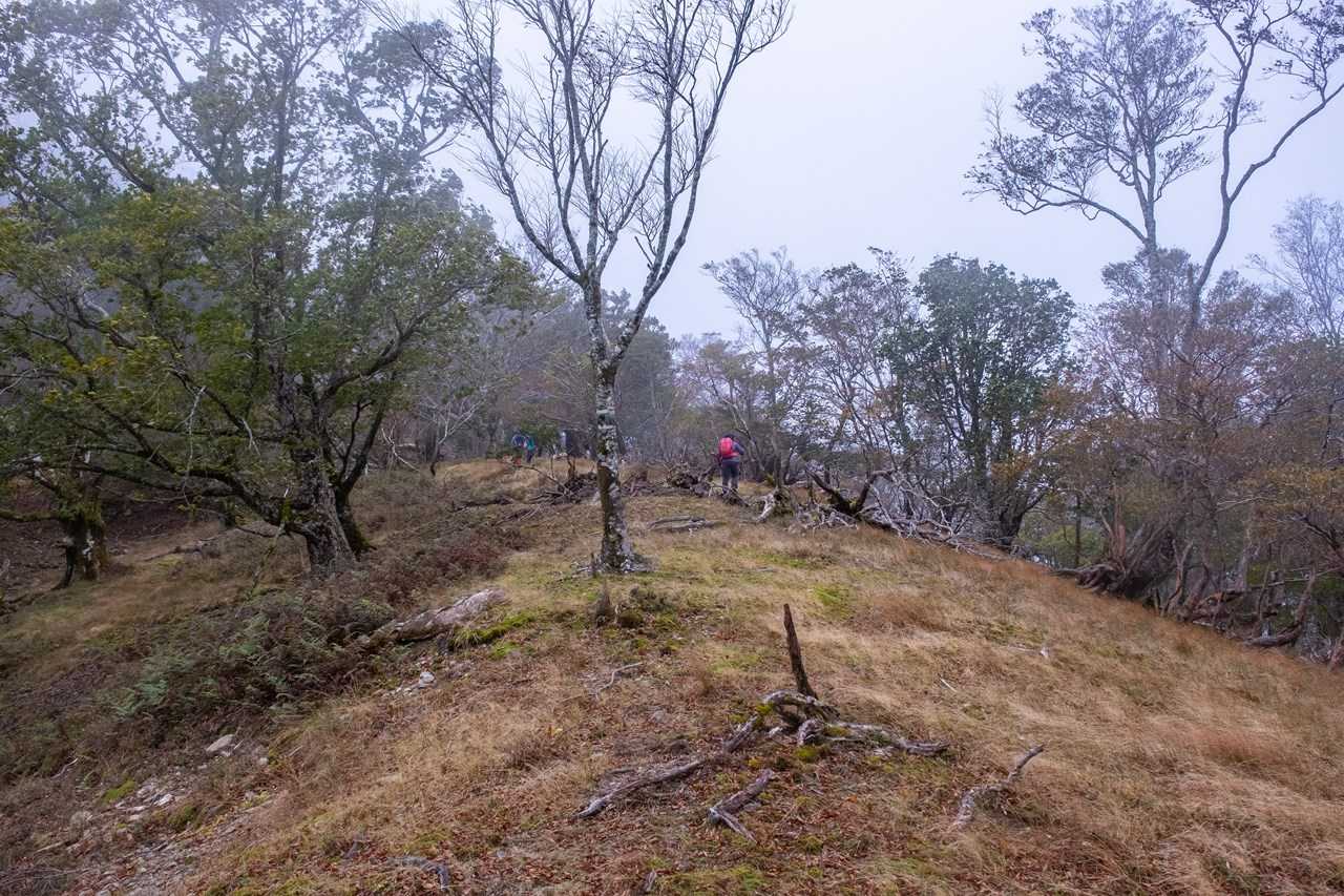 時雨も降ってきてレインを羽織る
