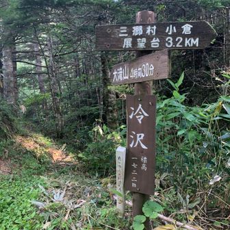 ここでここから林道から分かれて登山道。
ここでオレンジ🧡Tシャツの方に追い付き、少しお話し。日帰りで蝶ヶ岳まで行かれるとか😱
そのうち途中で抜かした男性二人組。こちらは大滝山荘で、テン泊たの事、良いな。本日お話しした方は、私とオレンジのかた以外は、テン泊か、山荘泊まりでした。
みんな良いね👍