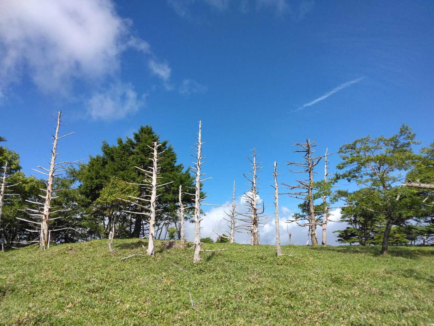 丸笹山-赤帽子山 周回コースの写真