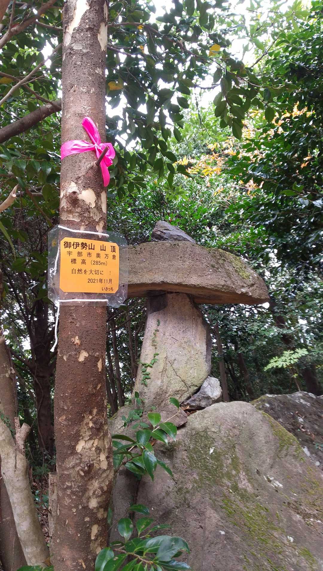 山頂風景1