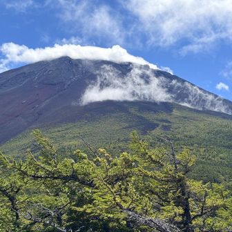 山頂は雲が取れないのですが、それがかえって絵になっています。