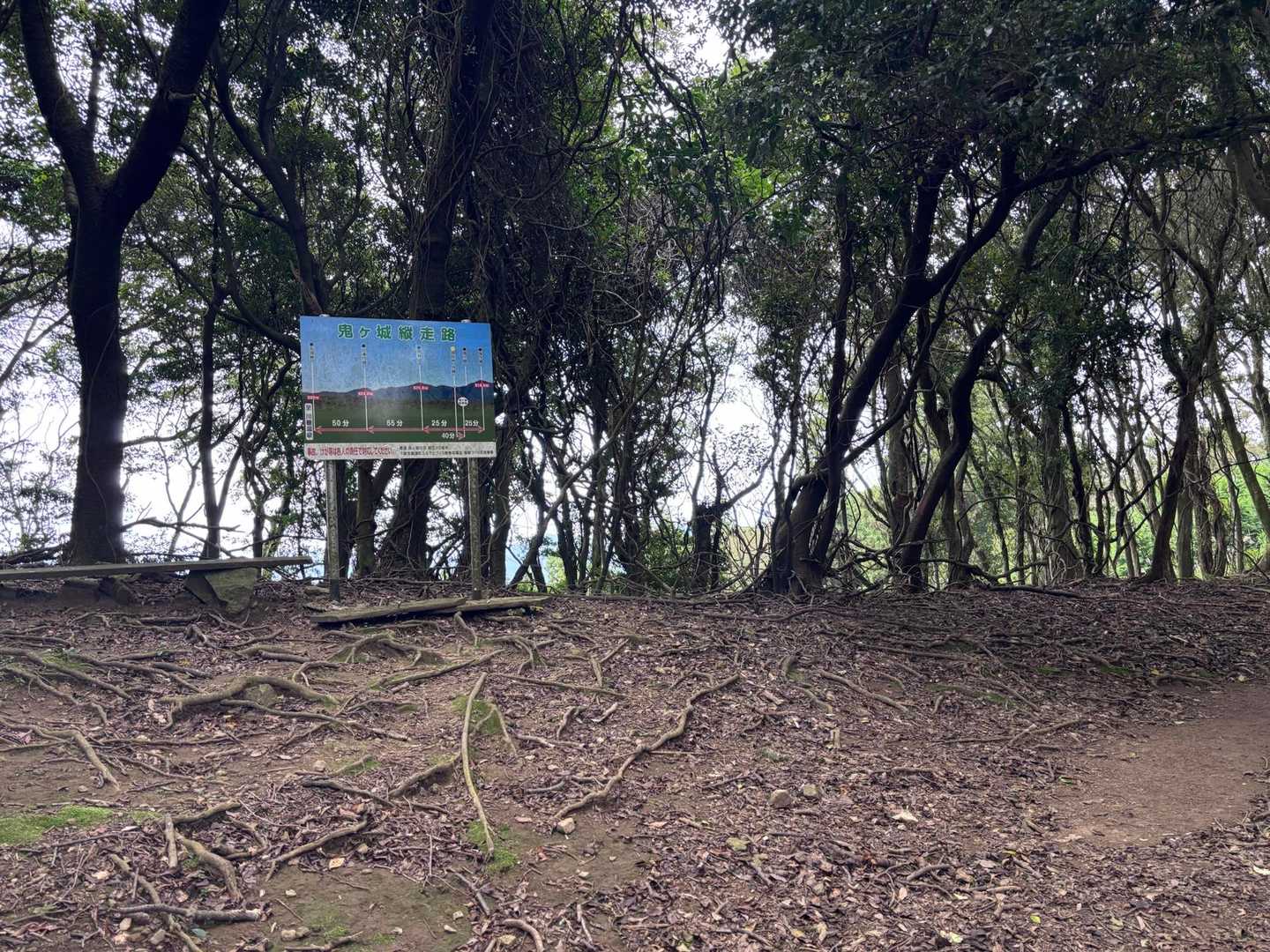 
鬼ヶ城山頂は右➡️