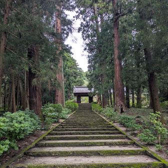 大中寺の参道。この雰囲気が好きだ。
