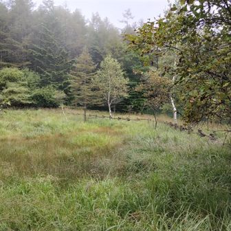 池の周りをぐるっと一周