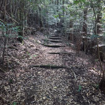 明瞭な道登る