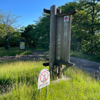 寄り道して、昨夜泊まる予定だったつつじの森キャンプ場を見に行きます