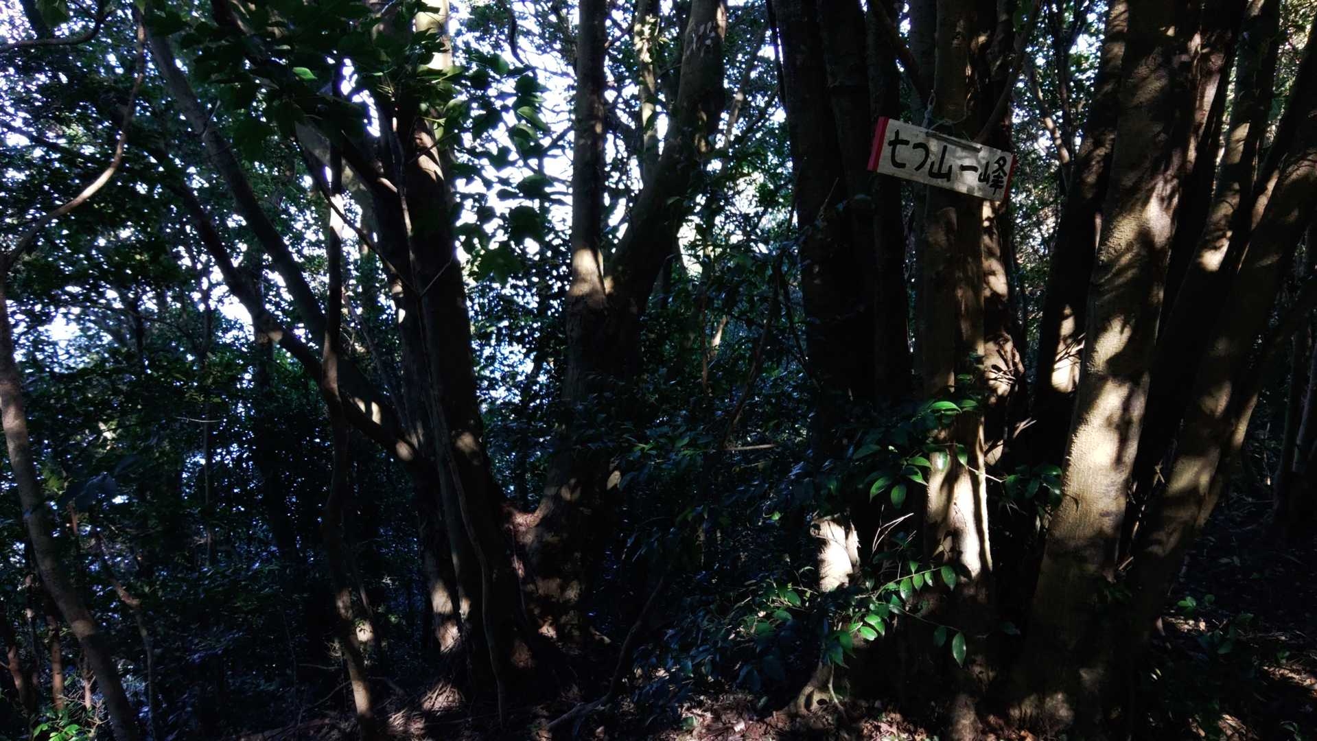 一峰