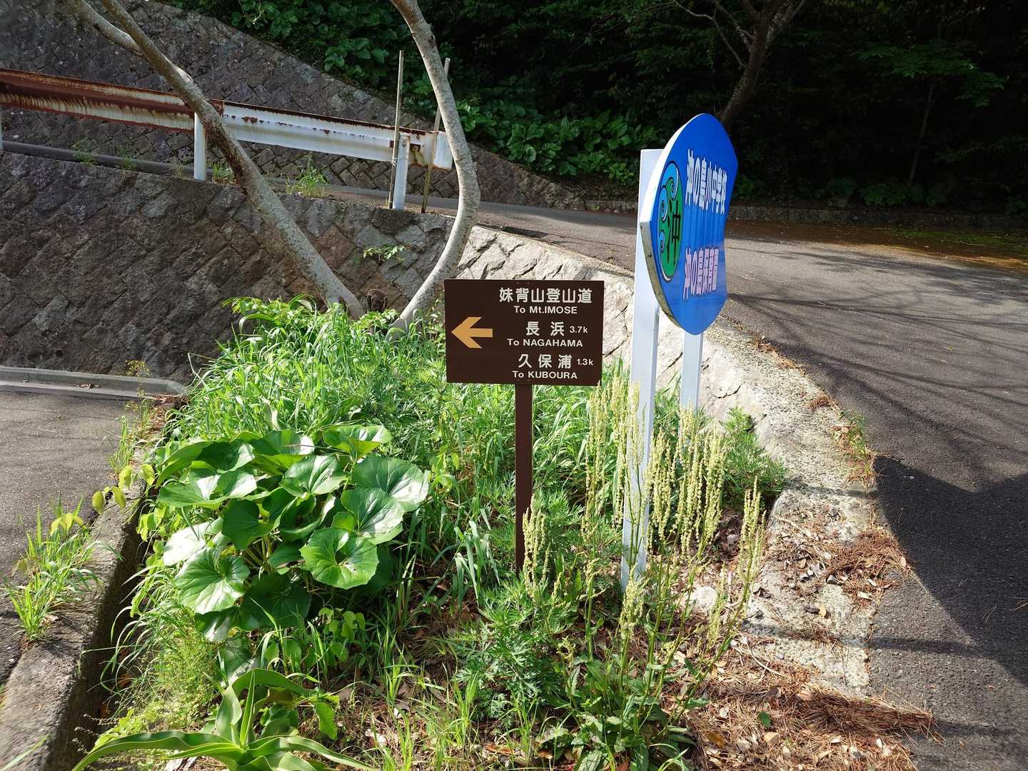 妹背山方向へ