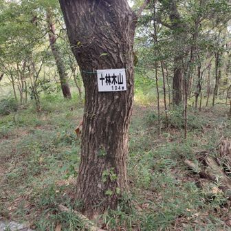 ……です笑
