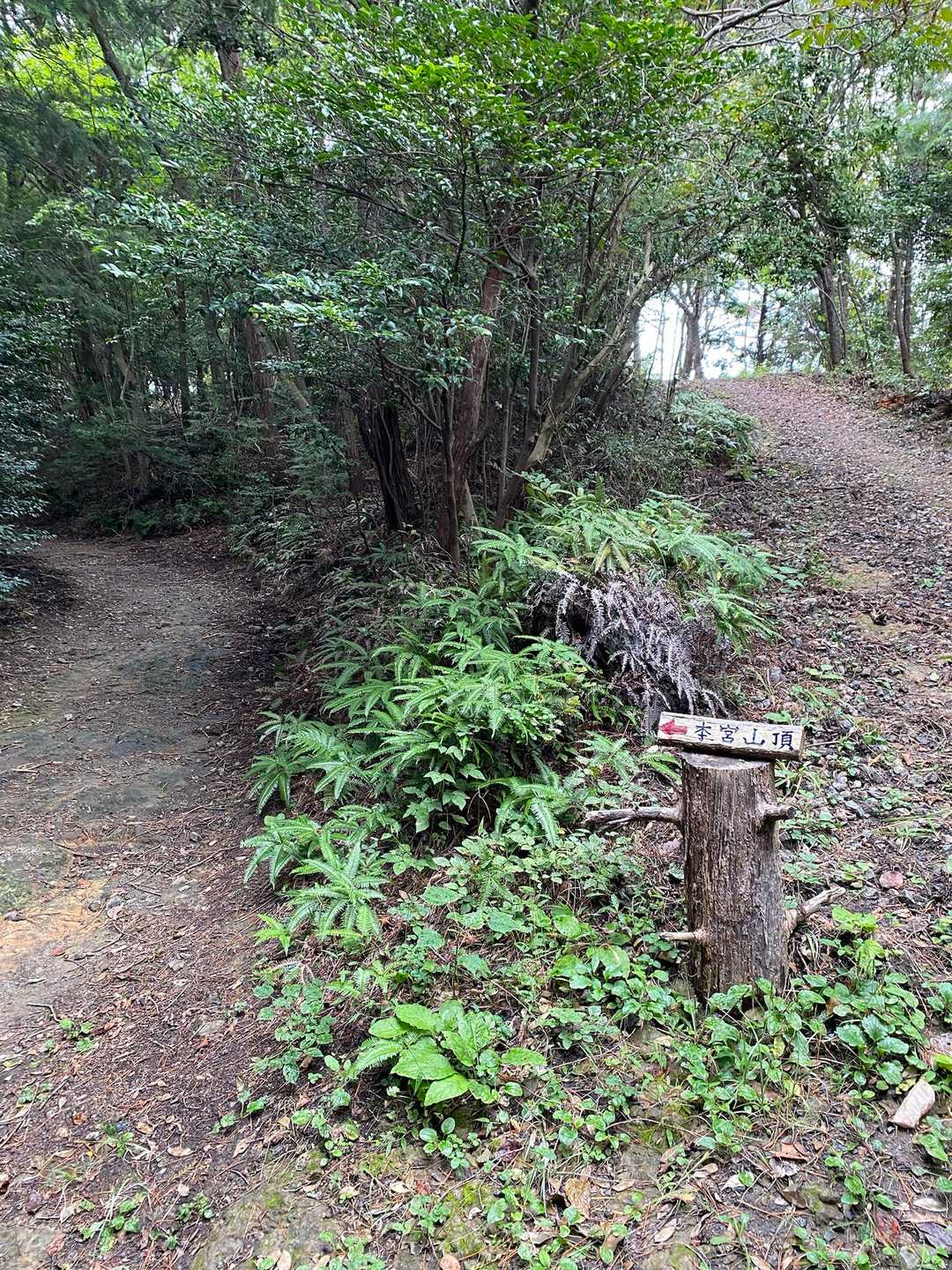 山頂は左←