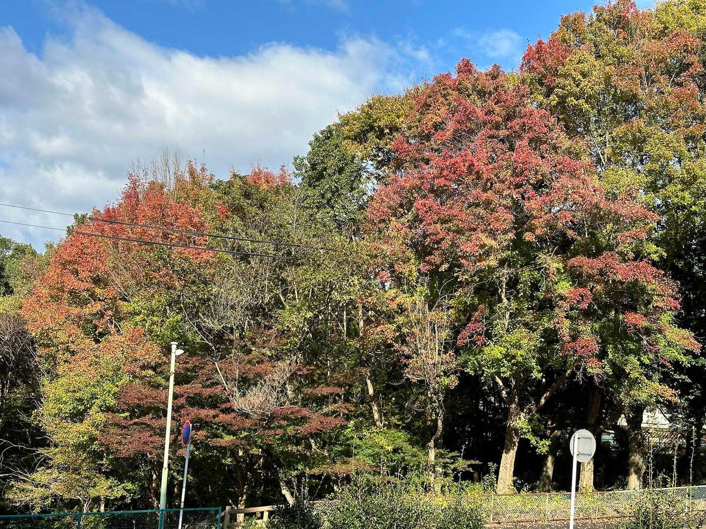 うぬまの森前バス停-明王山 往復コースの写真