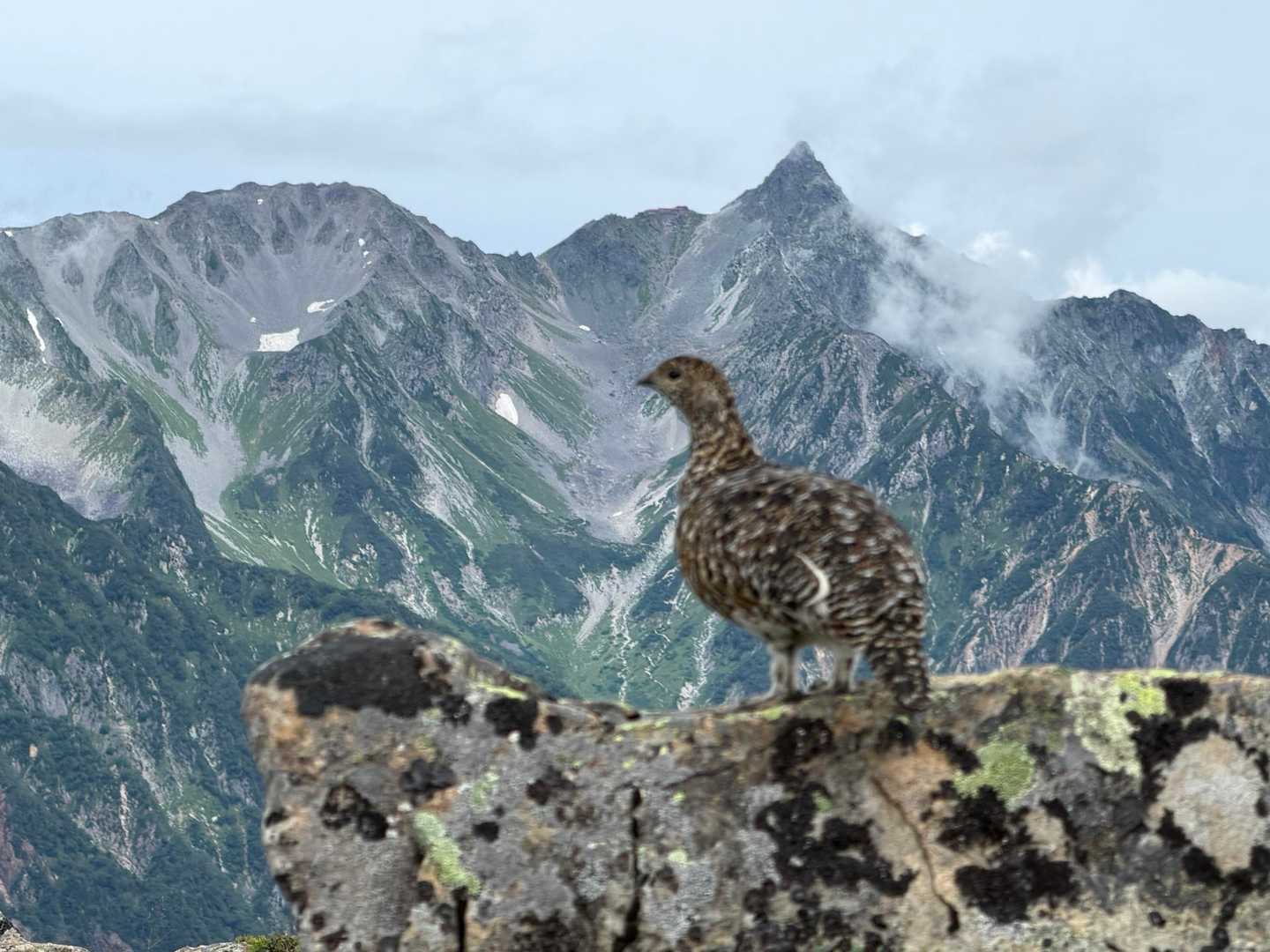 ずっとポーズとってくれてる
一眼持って来ればよかったな～