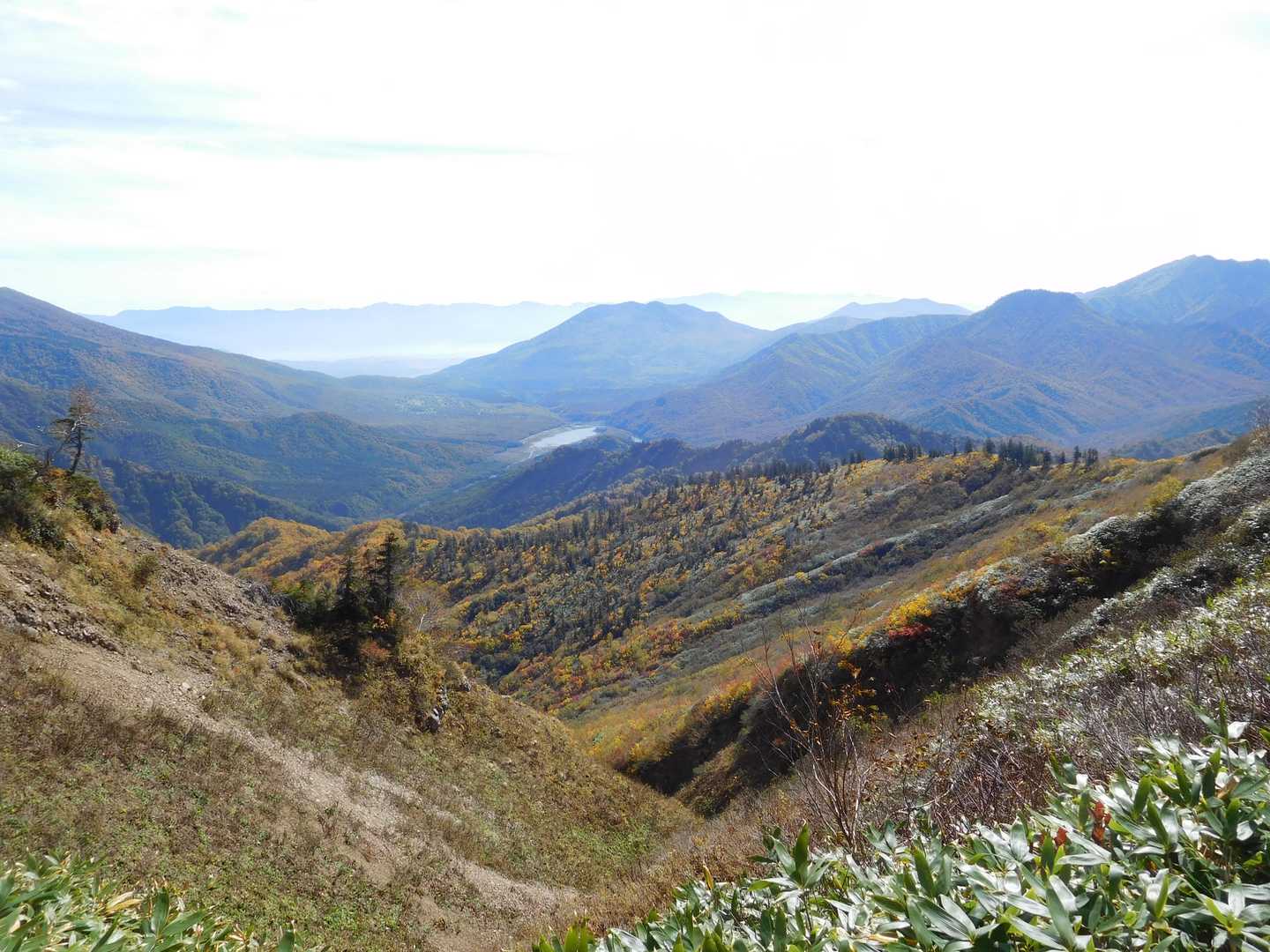 金山（金山登山口）の写真