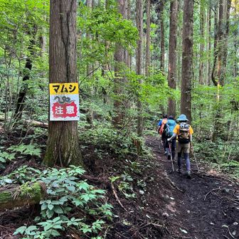 マムシ注意⚠️
樹林帯の中は天然クーラー