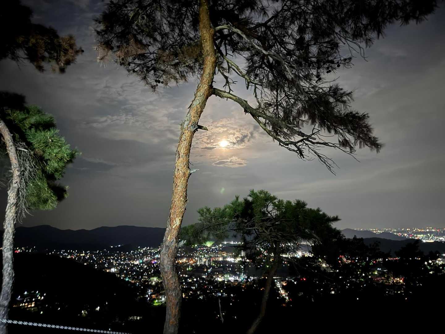 鏡山 往復コースの写真