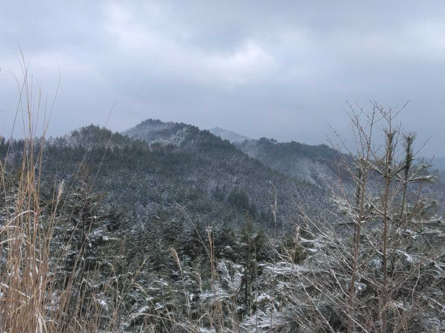 弁天岳、山内の町並みが見える