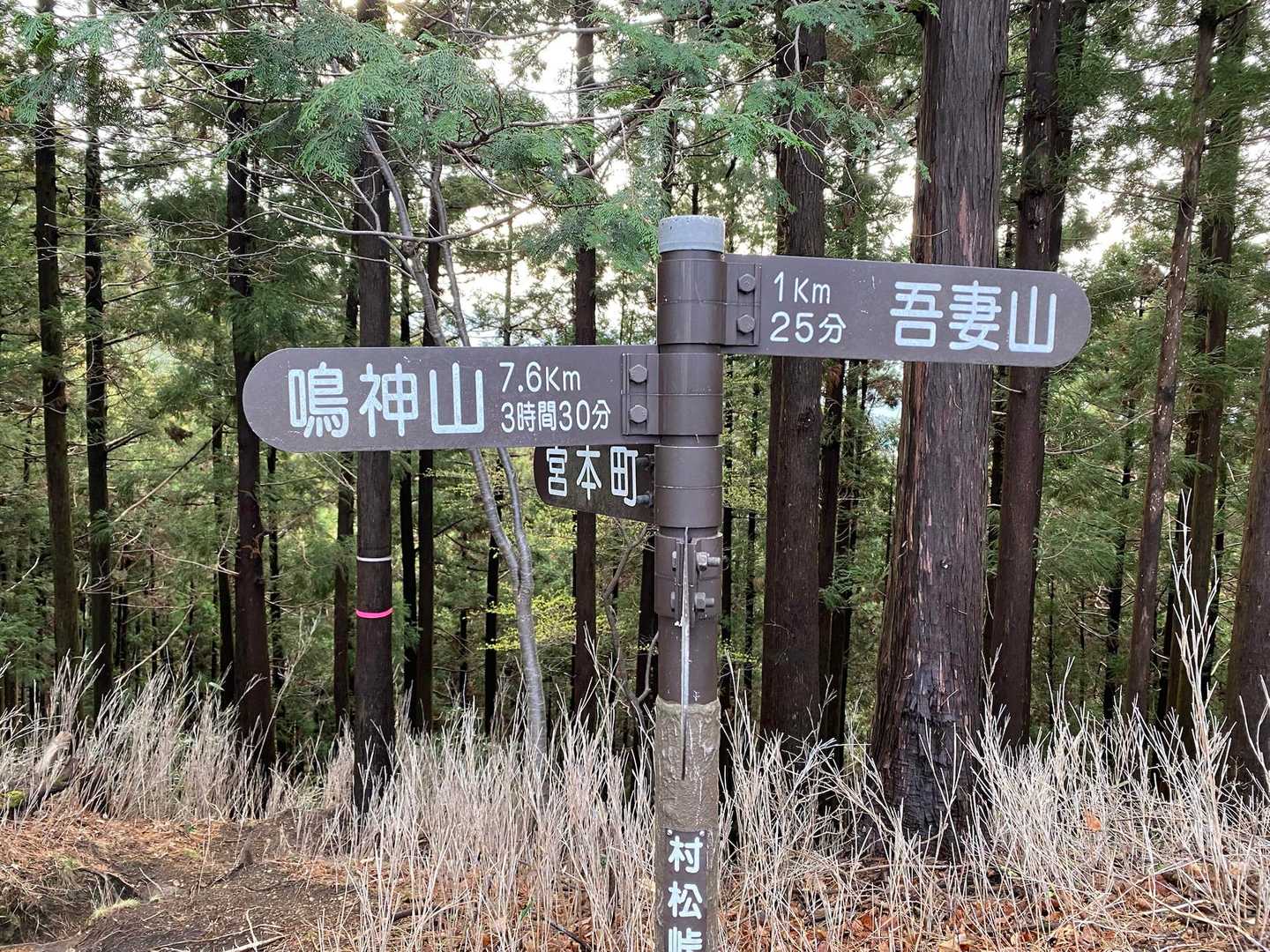 まだ遠い🤣