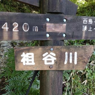 源流の谷で水をいただき自宅で珈琲を淹れるとすごく美味しかったです🤗✨