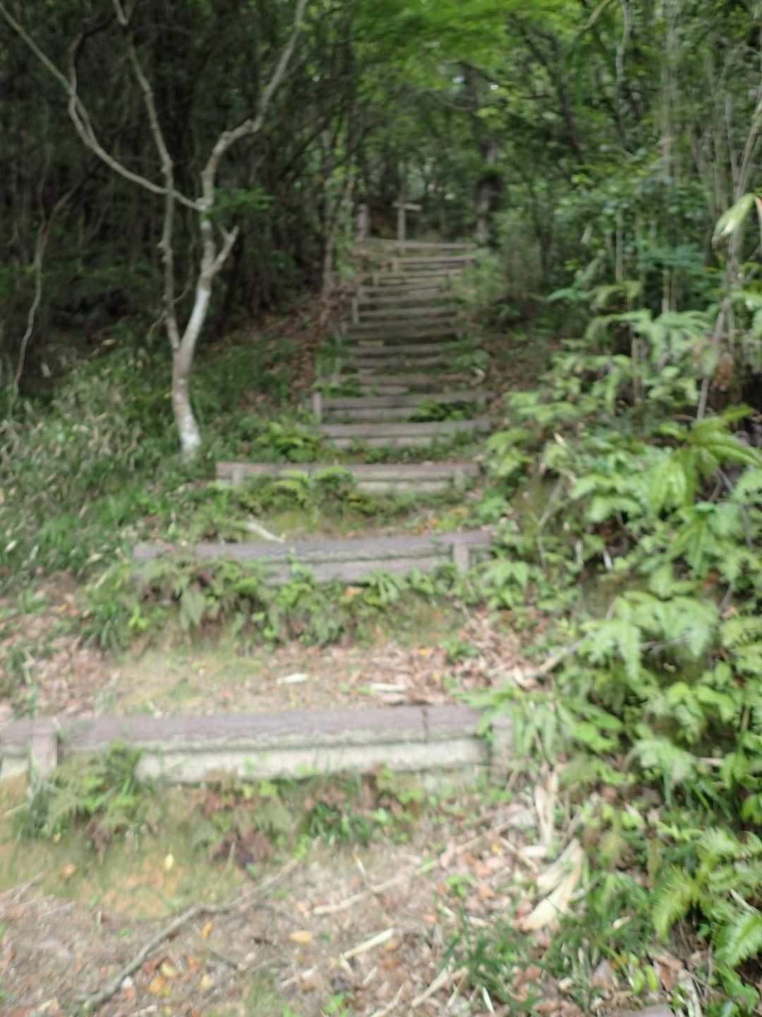 階段多い〜