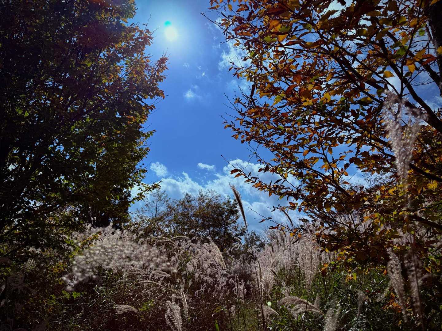 いい天気でいい山行〜⛰☀️✨️