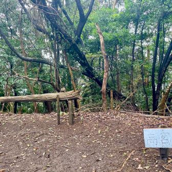 縦走して高宮山…眺望なし