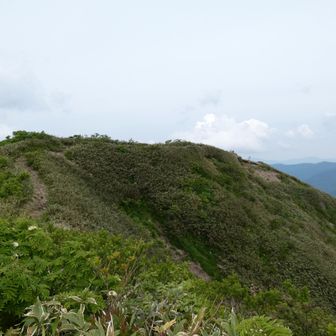 この先が北岳、その先が赤兎山と法恩寺山への分岐点