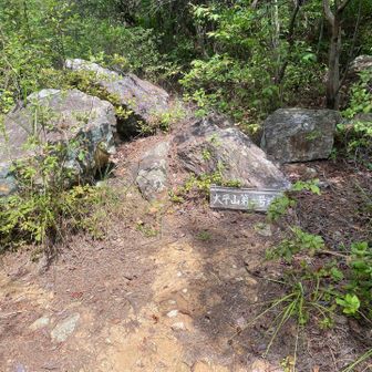 大平山二号？？