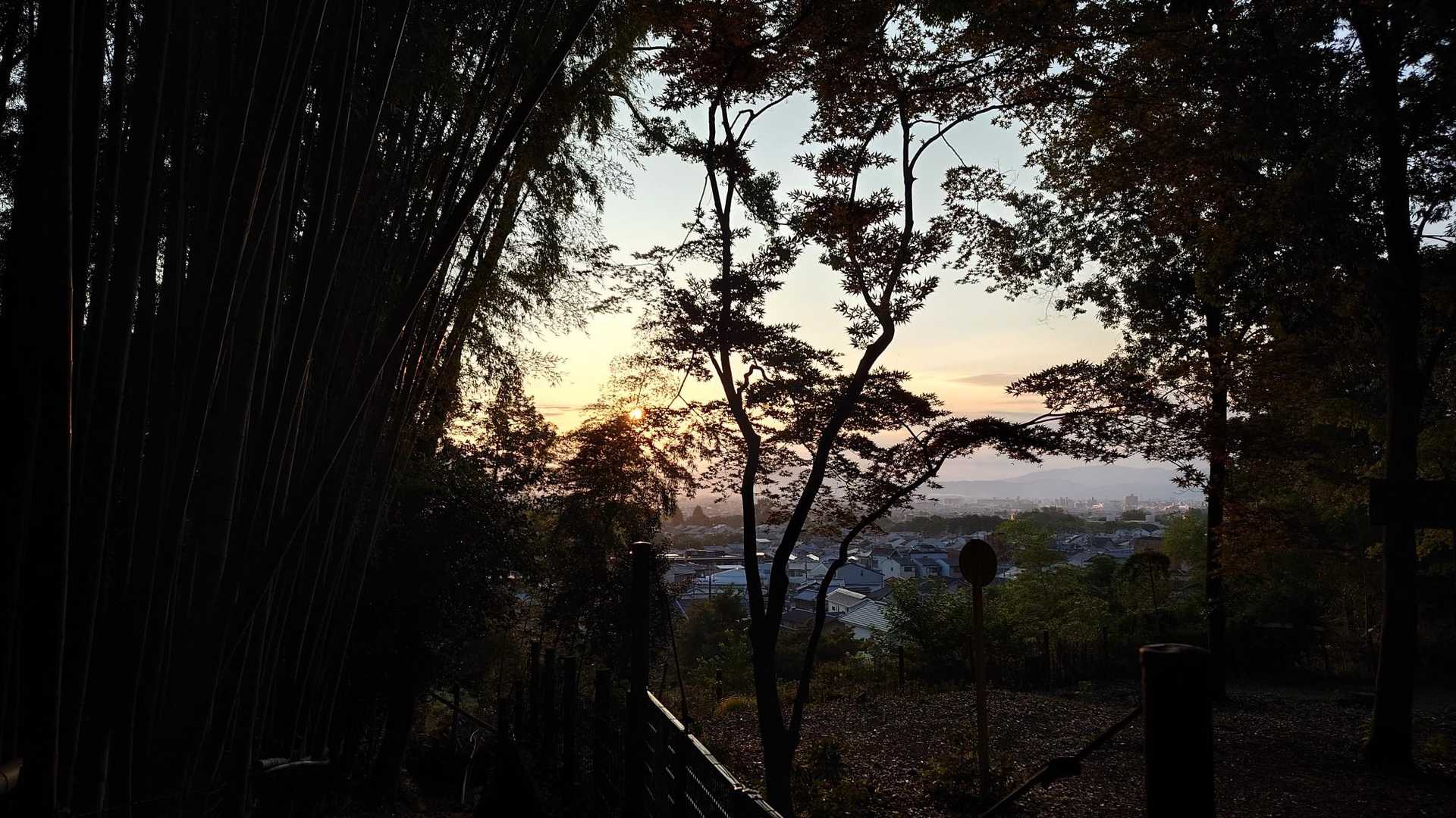 嵐山-烏ヶ岳-松尾山 往復コースの写真