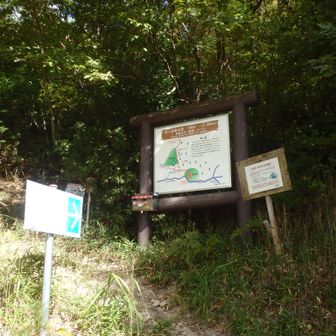 ここから山道