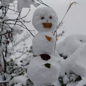 お妻さん謹製　雪だるま２号
