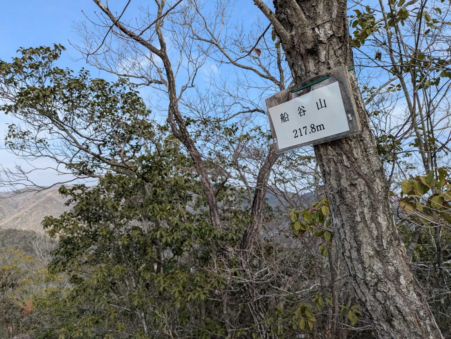 生駒山登山口-馬の蹄跡-生駒山-大鳥山-鳳張峠-鳳凰山-岩 周回コースの写真