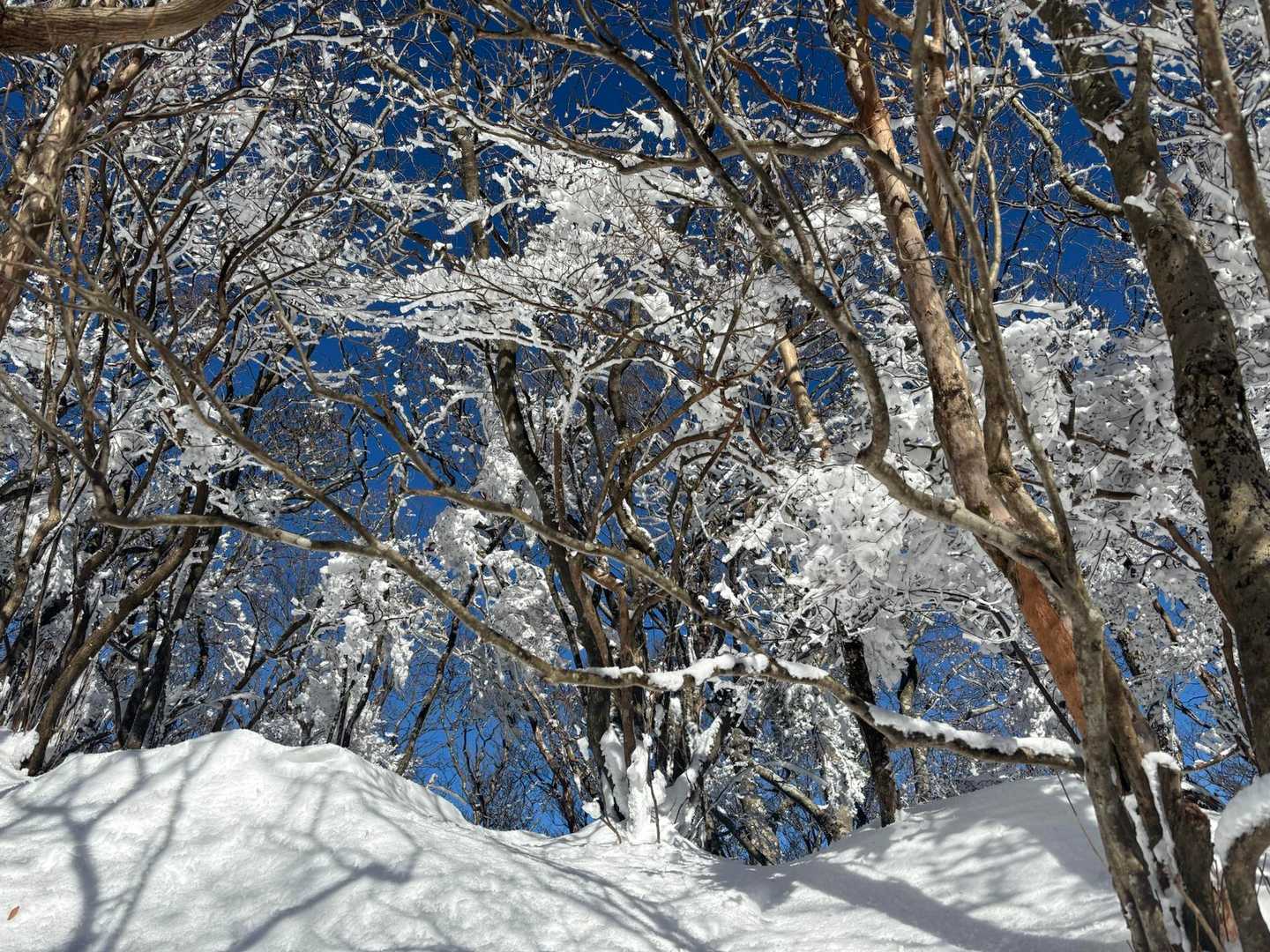 高見山 | 三峰山や金剛連山など360度の大展望。下山後はたかすみ温泉への写真